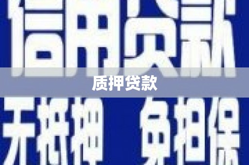 禄丰质押贷款