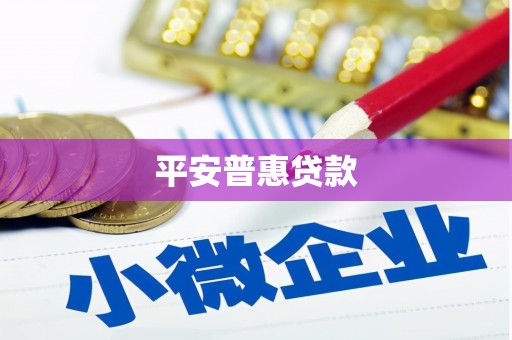 天水平安普惠贷款