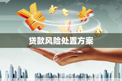 上甘岭贷款风险处置方案