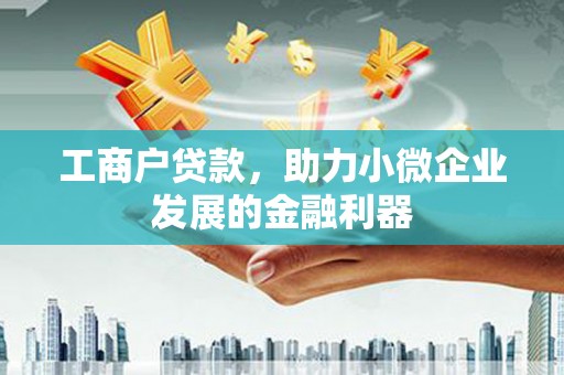 墨竹工卡工商户贷款，助力小微企业发展的金融利器