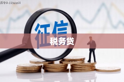 博山税务贷