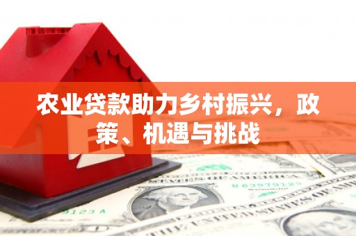 凤凰农业贷款助力乡村振兴，政策、机遇与挑战