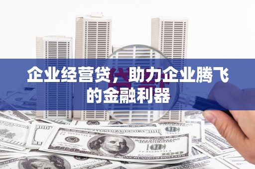 天峨企业经营贷，助力企业腾飞的金融利器