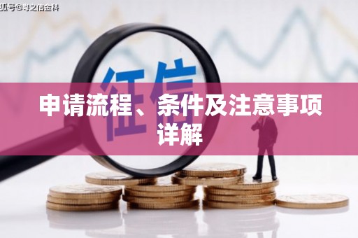 长岭申请流程、条件及注意事项详解