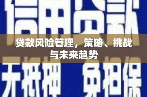 米脂贷款风险管理，策略、挑战与未来趋势
