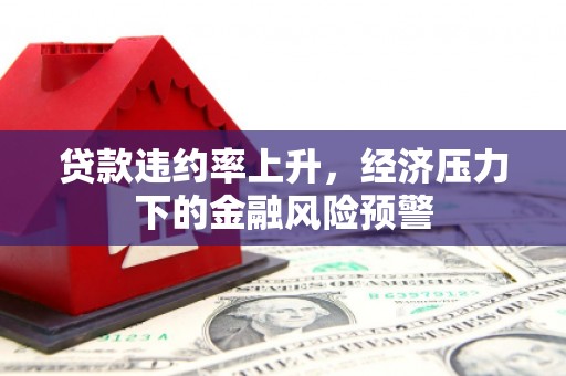 长岛贷款违约率上升，经济压力下的金融风险预警