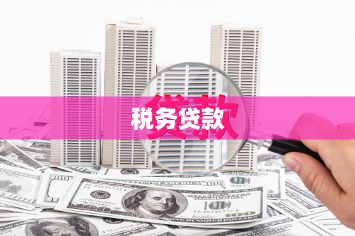 临潭税务贷款