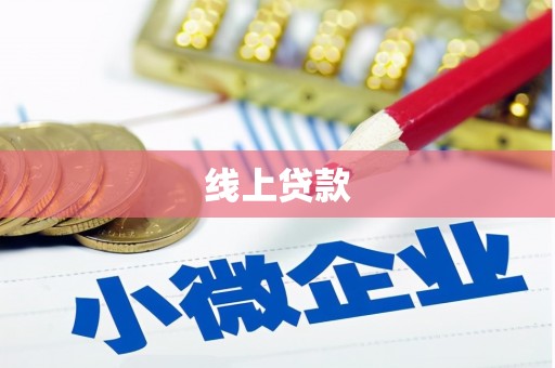 盐津线上贷款