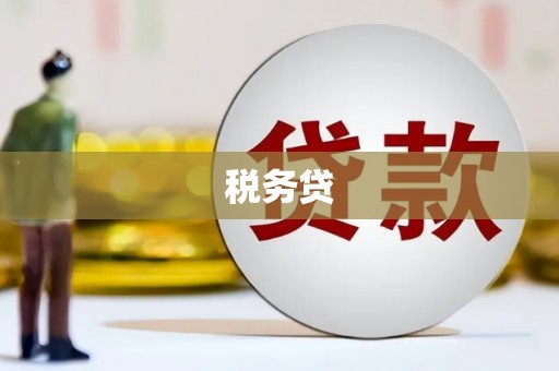 康县税务贷