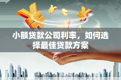 临邑小额贷款公司利率，如何选择最佳贷款方案