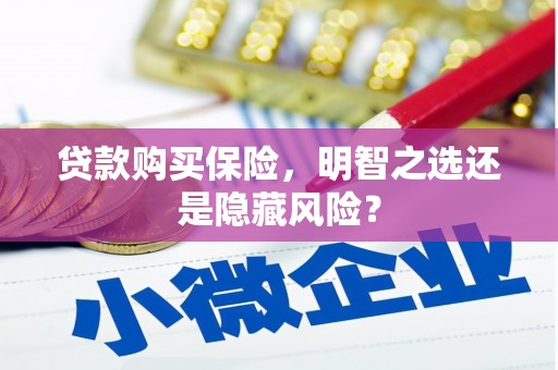 新邱贷款购买保险，明智之选还是隐藏风险？