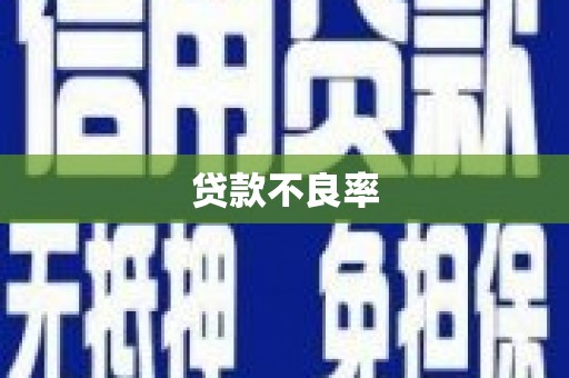 汉南贷款不良率