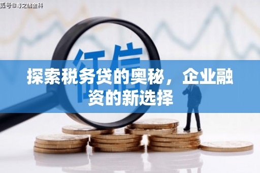 左镇探索税务贷的奥秘，企业融资的新选择