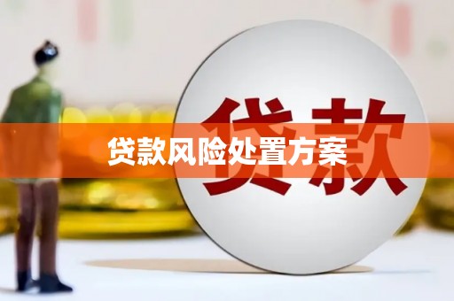 合山贷款风险处置方案