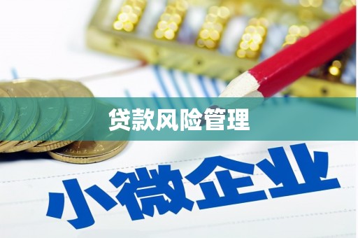 依兰贷款风险管理