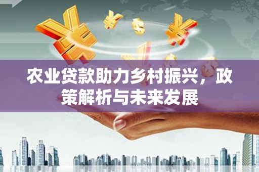 邵阳县农业贷款助力乡村振兴，政策解析与未来发展
