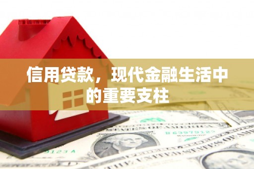 延平信用贷款，现代金融生活中的重要支柱
