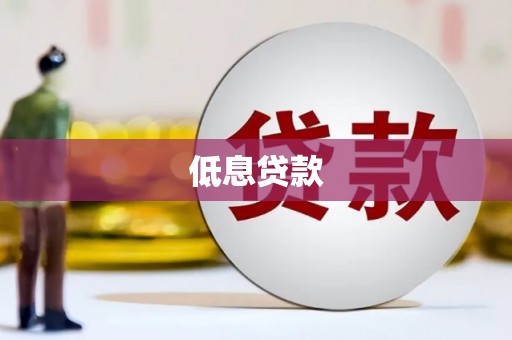 孝感低息贷款