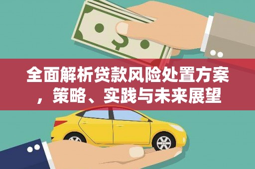 黄梅全面解析贷款风险处置方案，策略、实践与未来展望
