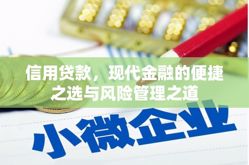 克孜勒苏柯尔克孜信用贷款，现代金融的便捷之选与风险管理之道