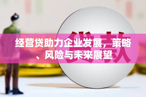 圣方济各堂区经营贷助力企业发展，策略、风险与未来展望