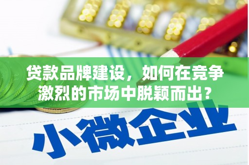 卑南贷款品牌建设，如何在竞争激烈的市场中脱颖而出？