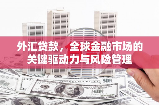 宾川外汇贷款，全球金融市场的关键驱动力与风险管理