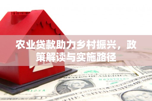 双阳农业贷款助力乡村振兴，政策解读与实施路径