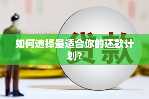 泗阳如何选择最适合你的还款计划？