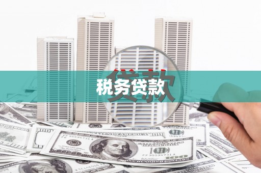 西固税务贷款