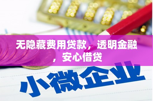 林园无隐藏费用贷款，透明金融，安心借贷
