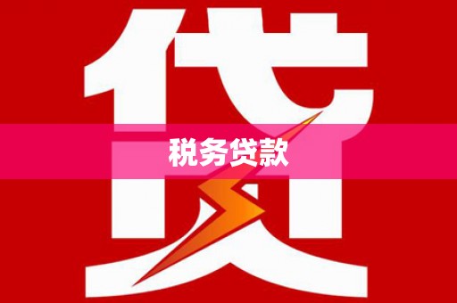 贺州税务贷款