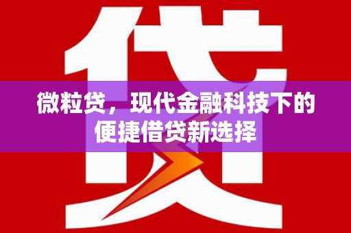 岑巩微粒贷，现代金融科技下的便捷借贷新选择