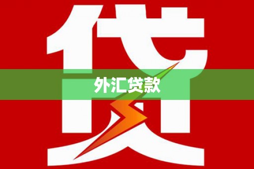 乌什外汇贷款