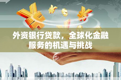 泽普外资银行贷款，全球化金融服务的机遇与挑战