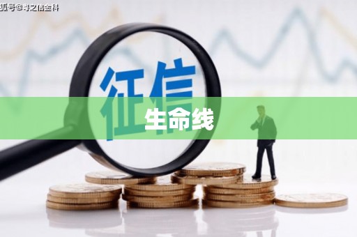 宁国生命线