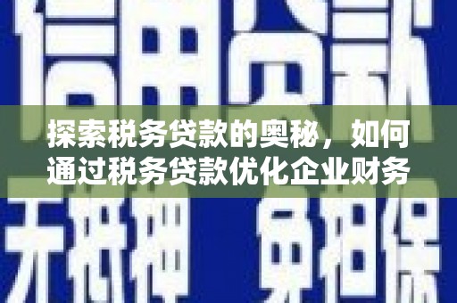 克孜勒苏柯尔克孜探索税务贷款的奥秘，如何通过税务贷款优化企业财务