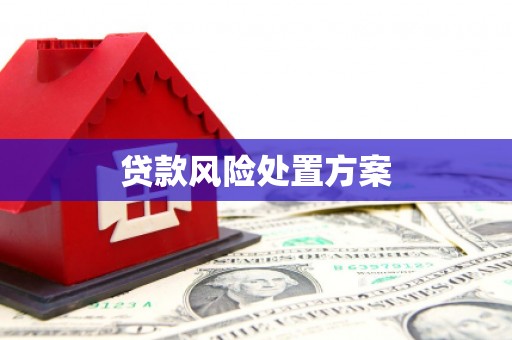 屏山贷款风险处置方案
