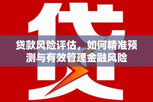 金湖贷款风险评估，如何精准预测与有效管理金融风险