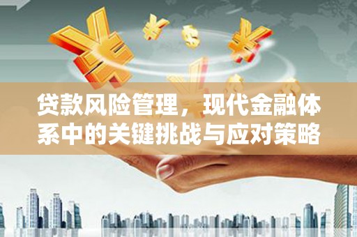 清河门贷款风险管理，现代金融体系中的关键挑战与应对策略