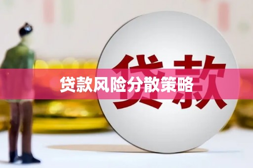 浔阳贷款风险分散策略