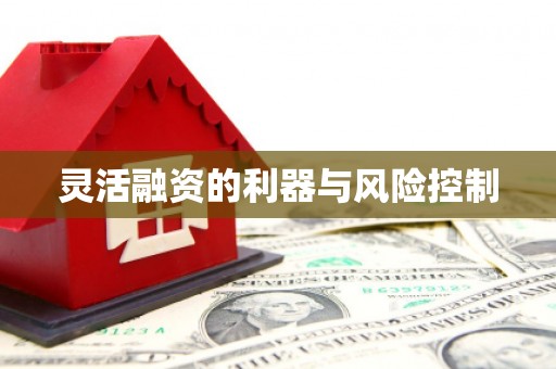 天镇灵活融资的利器与风险控制