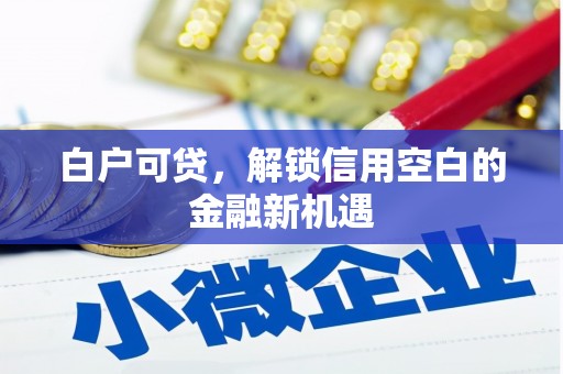 肇东白户可贷，解锁信用空白的金融新机遇