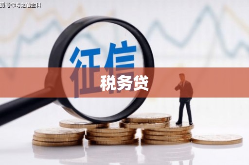 连山税务贷
