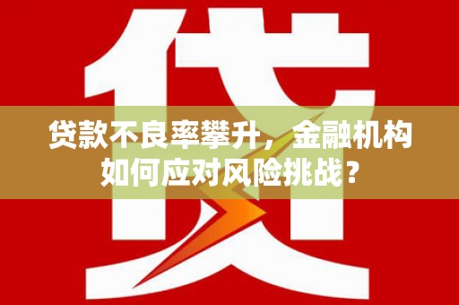 临沧贷款不良率攀升，金融机构如何应对风险挑战？