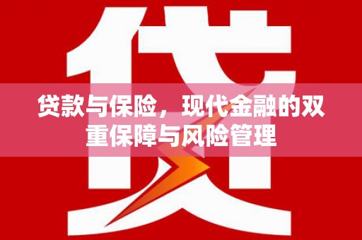 德惠贷款与保险，现代金融的双重保障与风险管理