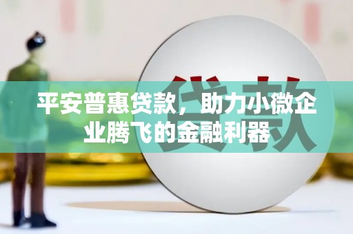 山西平安普惠贷款，助力小微企业腾飞的金融利器