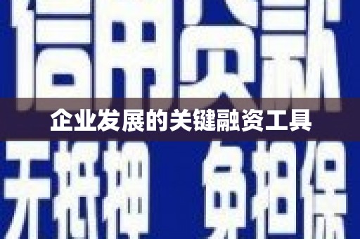 蔡甸企业发展的关键融资工具