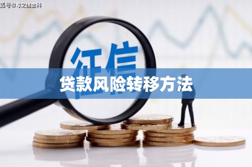嘉黎贷款风险转移方法
