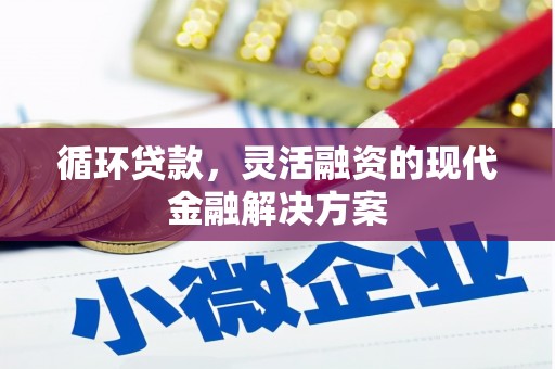 嘉黎循环贷款，灵活融资的现代金融解决方案